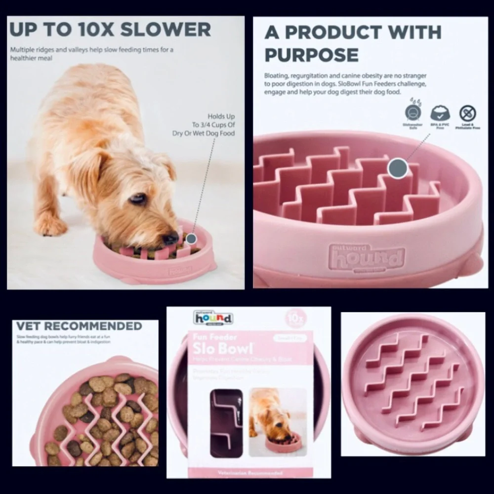 Pink dog bowl fun slow feeder
